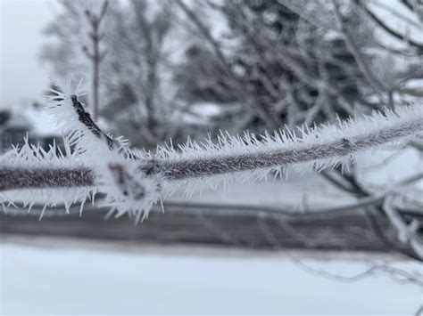 Weather art: Spectacular rime ice formations across Minnesota | MPR News