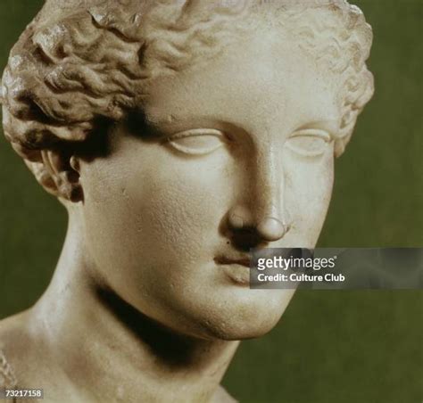 Beautiful Artemis Photos And Premium High Res Pictures Getty Images