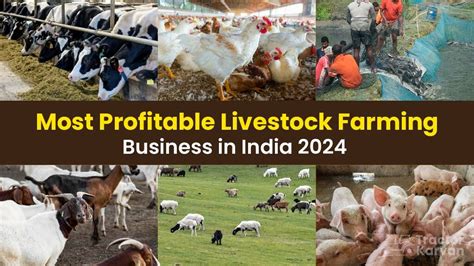 Top Profitable Livestock Farming Business In India