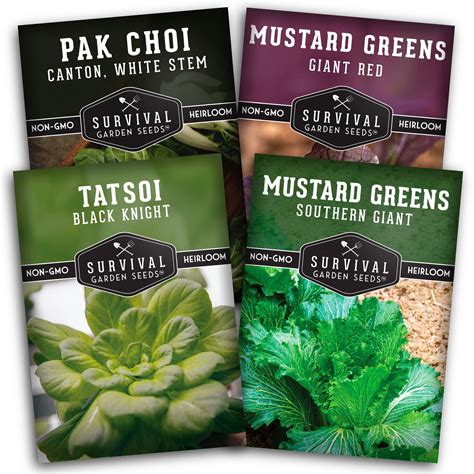 Amazon.com : Mustard Green Seed Collection - 4 Packets for Planting ...