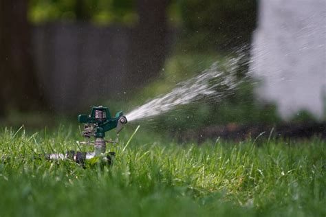 Sprinklers Vs Drip Systems Choosing The Right Irrigation Method For