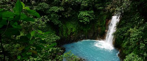 Download Wallpaper 2560x1080 Waterfall Lagoon Trees Jungle