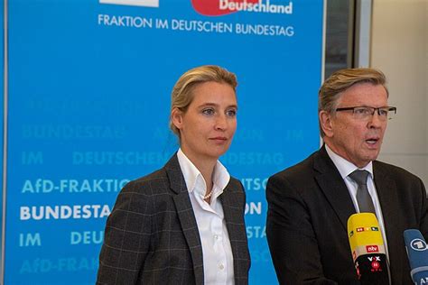 Neuer Umfrage Rekord Afd Steigt Bundesweit Auf Prozent Jihad