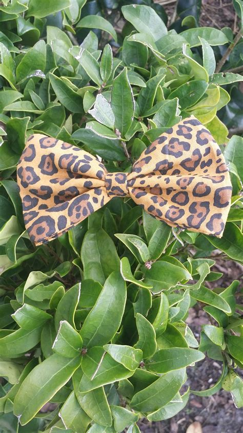 Fabulousanddivine Leopard Print Ladies Hair Bow