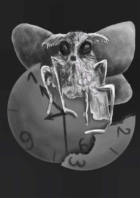 Студенческое портфолио / Временная моль