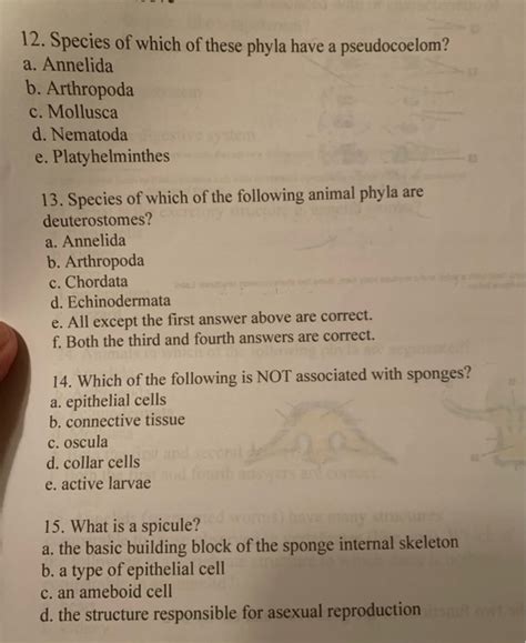 Solved 12 Species Of Which Of These Phyla Have A