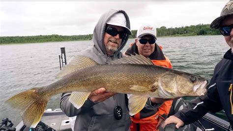 Leech Lake Fishing Report Anglingbuzz