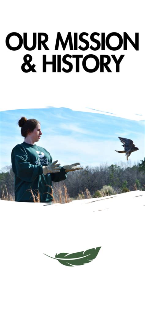 Our Mission And History Alabama Wildlife Center