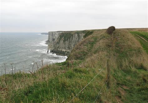 Filey Bempton Cliffs