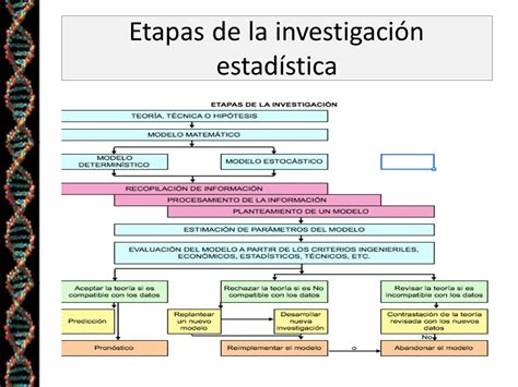 Componentes De Una Investigaci N Estad Stica