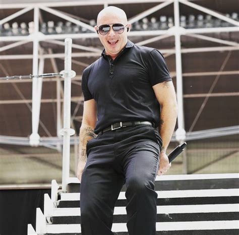 Pitbull | Pitbull the singer, Pitbull rapper, Pitbulls