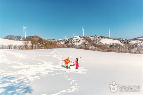 대관령 삼양목장 관광 정보와 주변 관광 명소 및 근처 맛집 여행 정보