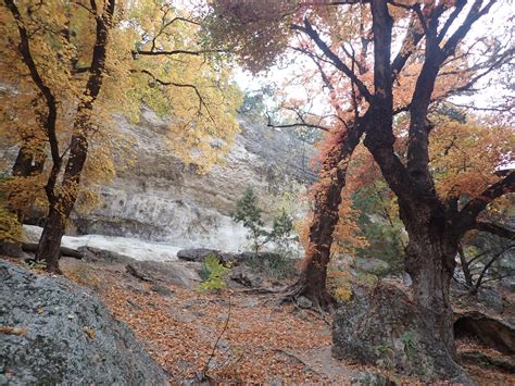 DebbieCPhillips-Photography: Lost Maples hiking day