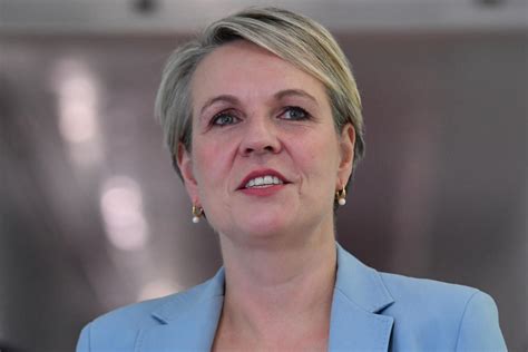 Federal Election 2022 Could Tanya Plibersek Be Our Future Pm