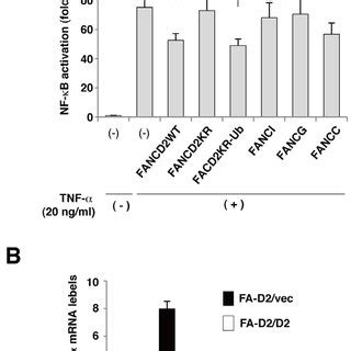 Fancd Negatively Regulates Nf Kb Activity And Tnfa Transcription A