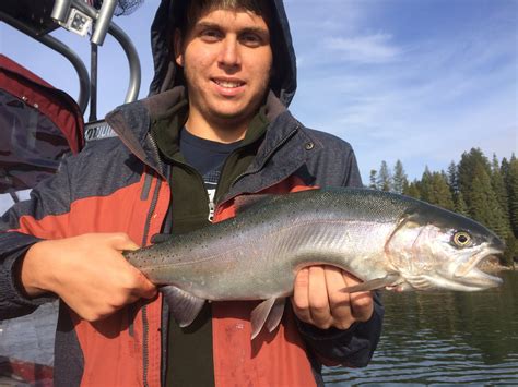 Lake Almanor Fishing Report - Big Daddy's Guide Service