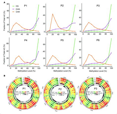 Distribution Of Methylation Levels In Different Tissue Culture