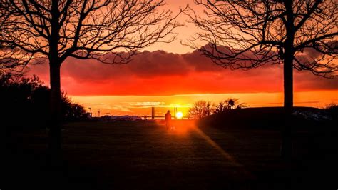 Silhouette Sunset Alone Solitude Walk Trees 4k HD Wallpaper