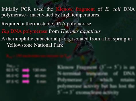 Solution The Polymerase Chain Reaction Presentation For Microbiology