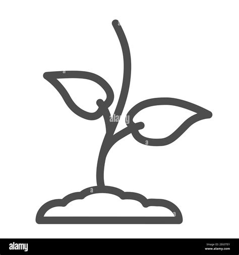 Sprout Clipart Black And White Freehand Drawn Black And White Cartoon