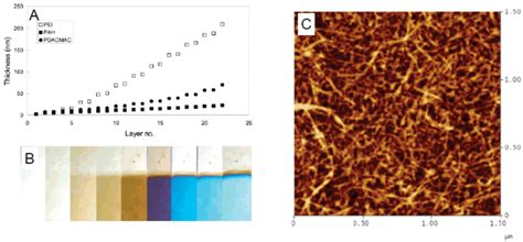 (A) Growth of polyelectrolyte multilayers made of MFC and several ...