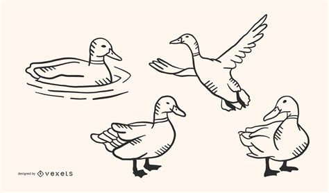 Duck Doodle Vector Set Vektor Download