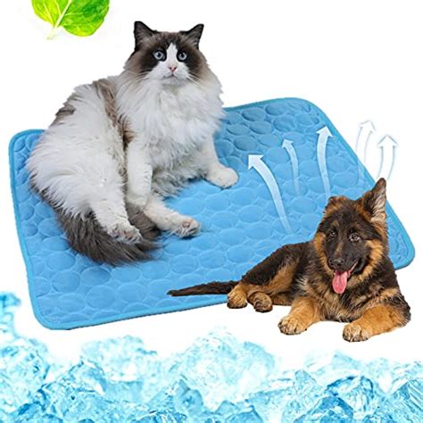 Camas Refrescantes Para Perros Mascotas Fit