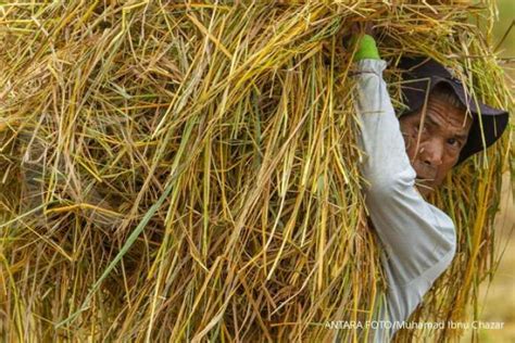 Dompet Dhuafa Dorong Pengembangan Pangan Berbasis Pesantren