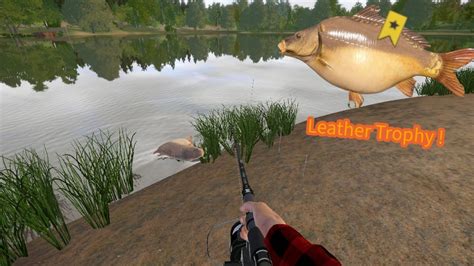 Russian Fishing 4 MASSIVE LEATHER CARP TROPHY AT AMBER LAKE YouTube