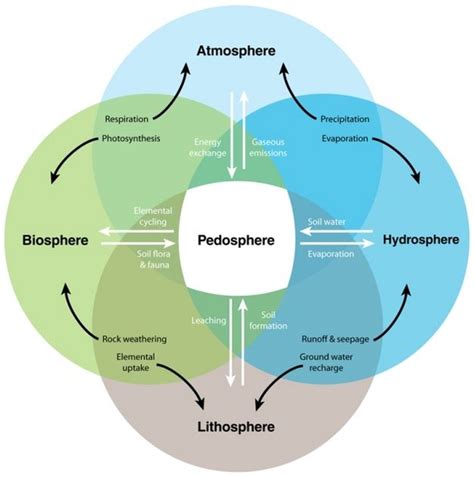 Interactive processes linking the pedosphere with the atmosphere ...