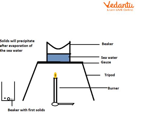 Chemicals From Common Salt - Learn Important Terms and Concepts