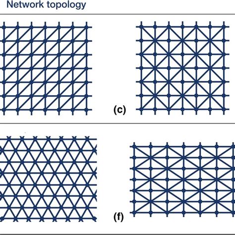 A C Examples Of 2d Lattice Network Topologies Distinguished In Part