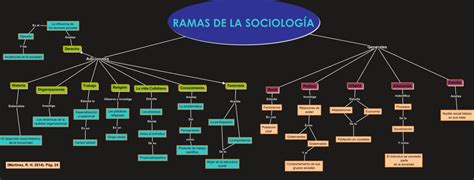 Mapa Conceptual De Sociología ¡guía Paso A Paso