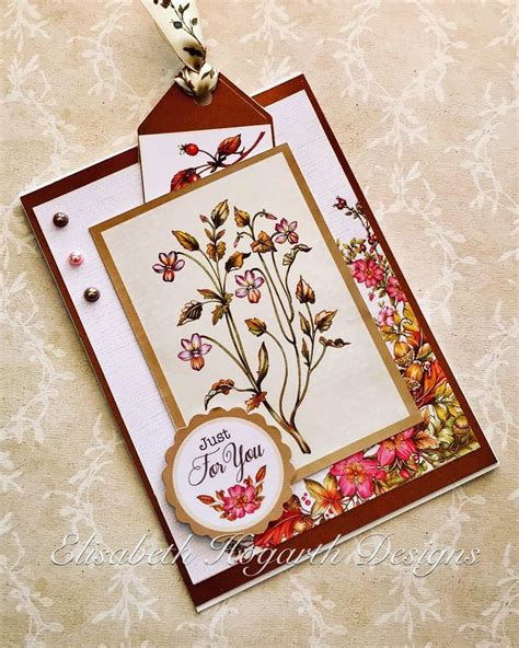 Card Created By Elisabeth Hogarth Using The Hobby House Autumn