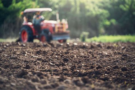 Soil vs. Dirt: What's the Difference?