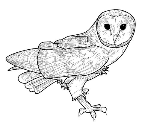 Barn Owl Coloring Pages Coloring Pages Pictures Imagixs Owl