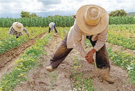 La OIT Proyecta Un Escenario Laboral Altamente Complejo En