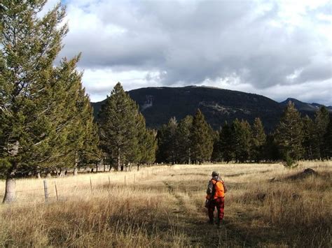 The Crazy Mountains Elk Hunt The Hunting Lodge