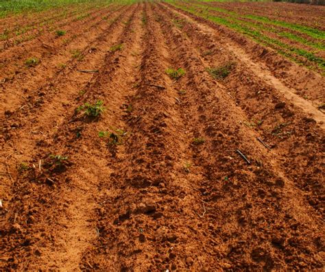 Estrategias Para Recuperar El Suelo En La Agricultura Agbar Agriculture