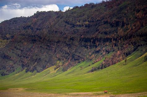 Latar Belakang Dan Fakta Menarik Teletubbies Hill Bromo