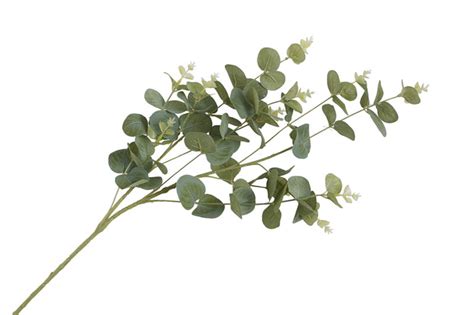 Gren Eucalyptus 93 Cm Princessbutikken No