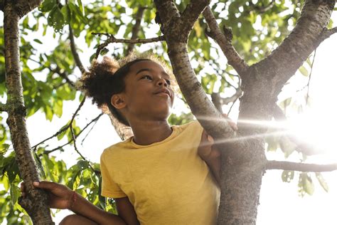 As crianças e a Natureza nas mãos da Justiça Criança e Natureza