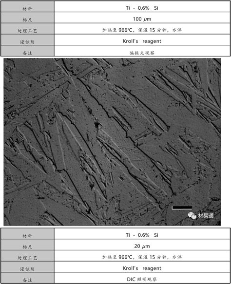 钛及钛合金高清金相图谱大全 赋耘检测技术上海有限公司