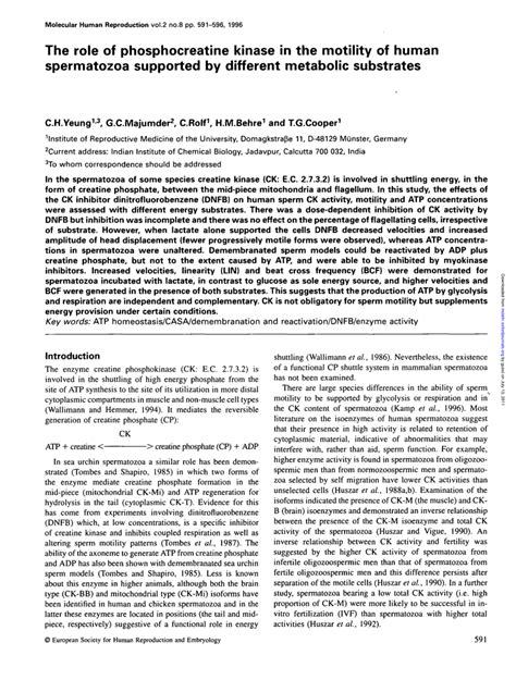 (PDF) The role of phosphocreatine kinase in the motility of human ...