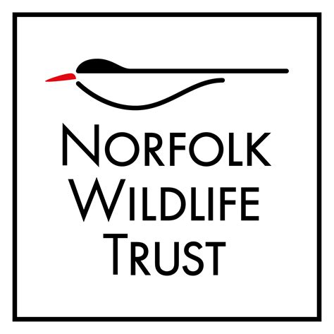 Cley and Salthouse Marshes visitor centre | Norfolk Wildlife Trust