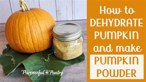 HOW TO DEHYDRATE PUMPKIN AND MAKE PUMPKIN POWDER Preserve Pumpkin For