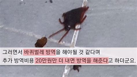 와글와글 바퀴벌레 나왔어요‥추가 비용 냈는데 모형