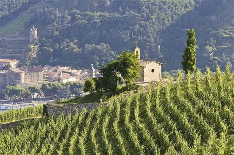 Rhone Wine Tour By Rail Grape Escapes Wine Tours