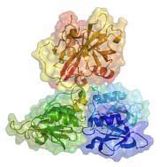 Crystal structure of the factor XI zymogen. | Download Scientific Diagram