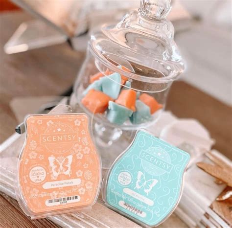 Scented Wax Melts Candle Cubes Scentsy Bars Artofit